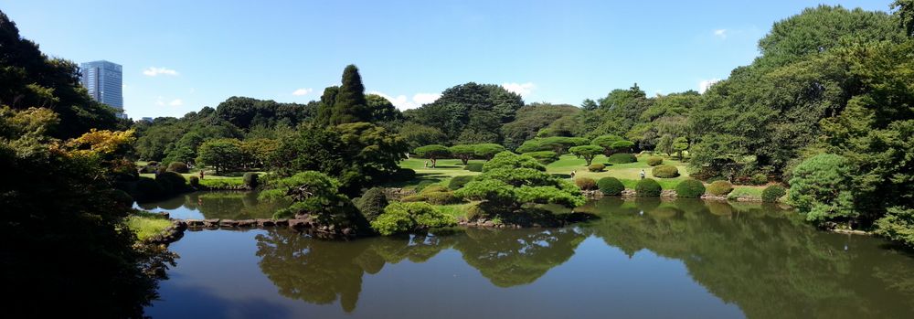 giorno 26 - shinjuku gyoen park.jpg